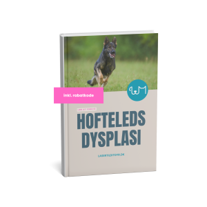 hoftedysplasi hund