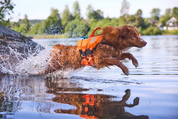 Non-stop Protector life jacket - Image 6