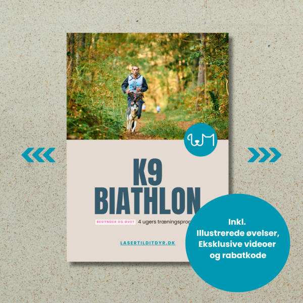 K9 biathlon træning