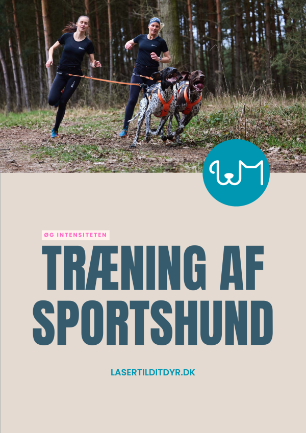 Øg intensiteten - Træning Af Sportshund, e-bog - Image 3