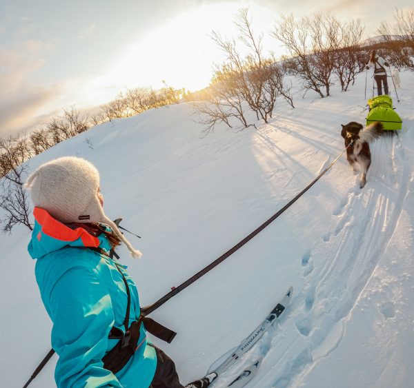 Non-stop Touring bungee leash - Image 10