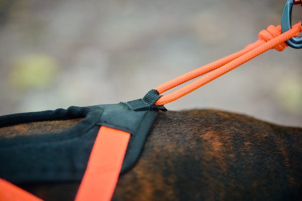 Non-stop Rush harness - Image 3