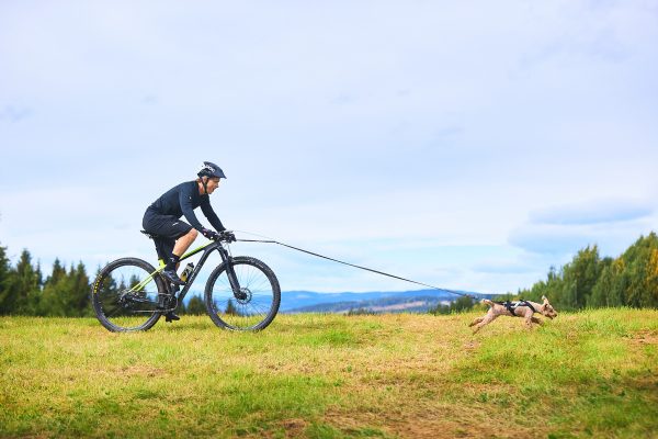 Non-stop Touring bungee leash - Image 8