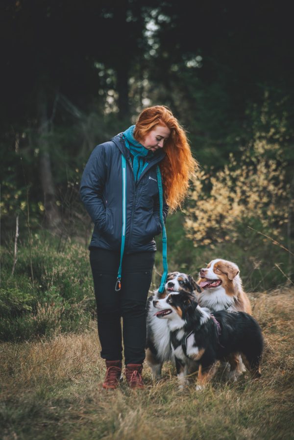 hundetrænings jakke