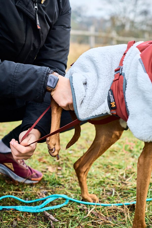 Trekking fleece jacket - Image 5